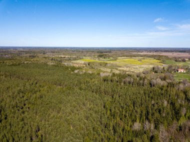 Drone görüntü. alanları ve ormanları ile kırsal bölgenin havadan görünümü