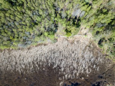 Drone görüntü. alanları ve ormanları ile kırsal bölgenin havadan görünümü