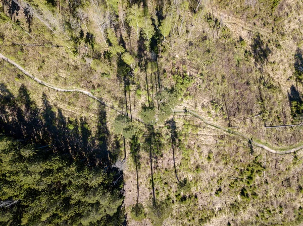 Изображение дрона. воздушный вид на сельскую местность с полями и лесами — стоковое фото