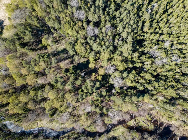 Imagem de drone. vista aérea da área rural com rio na floresta a partir de — Fotografia de Stock