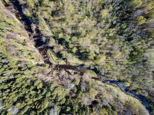 Imagem de drone. vista aérea da área rural com rio na floresta a partir de — Fotografia de Stock