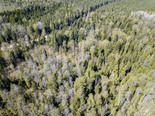 Imagem de drone. Vista aérea da zona rural com campos e florestas — Fotografia de Stock