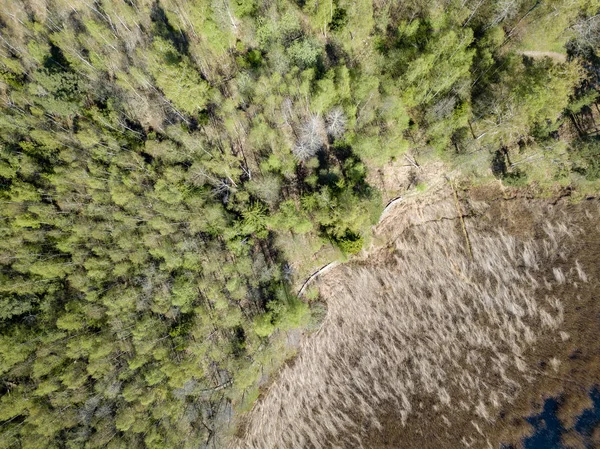 Imagem de drone. Vista aérea da zona rural com campos e florestas — Fotografia de Stock