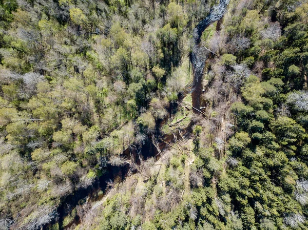 Imagem de drone. vista aérea da área rural com rio na floresta a partir de — Fotografia de Stock