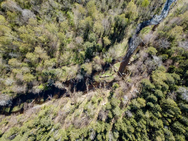 Зображення безпілотника. вид з повітря на сільську місцевість з річкою в лісі з — стокове фото