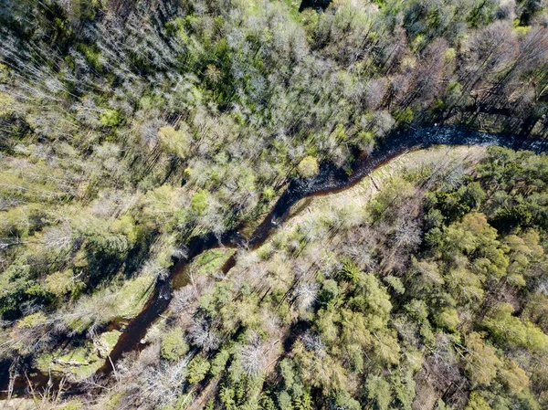 Image de drone. vue aérienne de la zone rurale avec rivière en forêt de — Photo