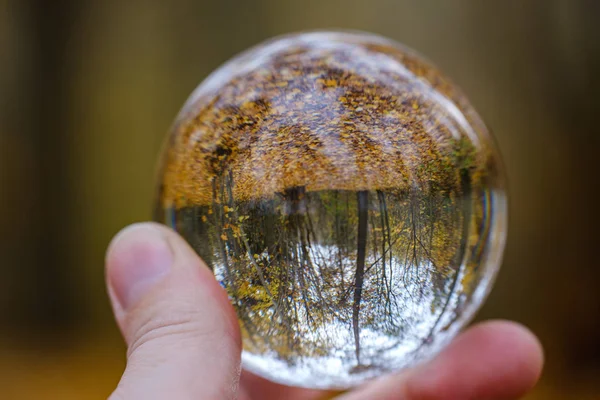 Maschio mano in possesso di sfera di vetro di cristallo sullo sfondo della natura w — Foto Stock