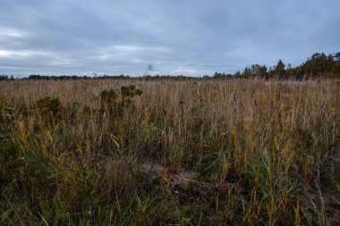 Riga 'nın endüstriyel limanı üzerinde gece bulutları ve ışıklar.
