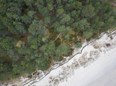 Sis ile kaplı deniz kıyısı plajı