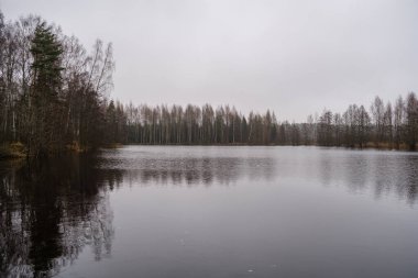Kırsal kesimde su yansıtmalı küçük orman gölü.