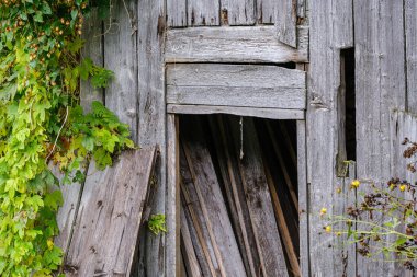 Uzakta eski bir ev sisin içinde saklanıyor.