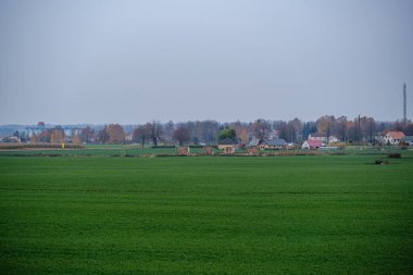 Sonbaharda kırsal alanlar ve çayırlar. manzara görünümü