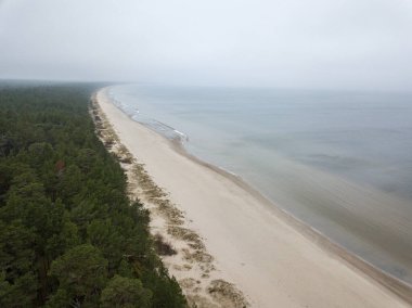 Sis ile kaplı deniz kıyısı plajı