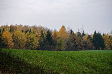 Sonbaharda kırsal alanlar ve çayırlar. manzara görünümü