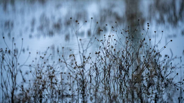 Abstracte textuur van natuurlijke materialen in natte herfstdag — Stockfoto