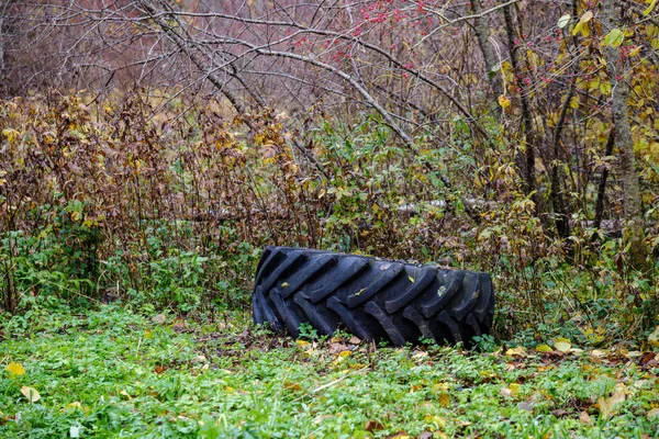 Покинута шина з великого автомобіля на природному лузі — стокове фото