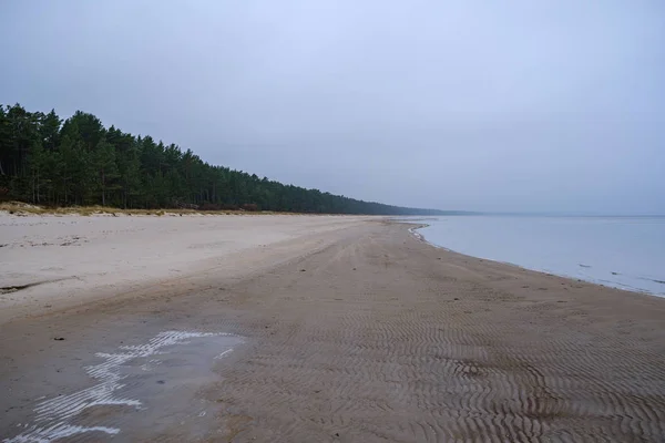 Plage de mer gelée avec sable et première neige par temps nuageux — Photo