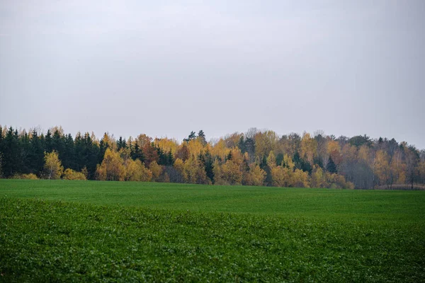 Felder und Wiesen im Herbst. Aussichtsreiche Aussicht — Stockfoto