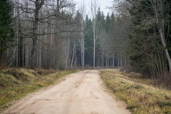 Пустая гравийная дорога осенью — стоковое фото