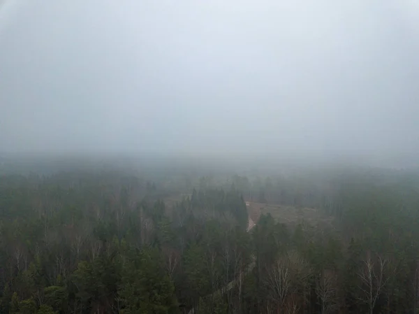 fog over forests and lakes in countryside. drone image from abov