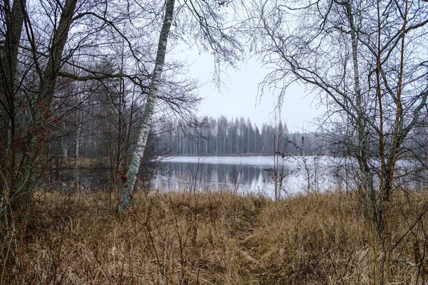 Pequeno lago florestal no campo com reflexos de água — Fotografia de Stock