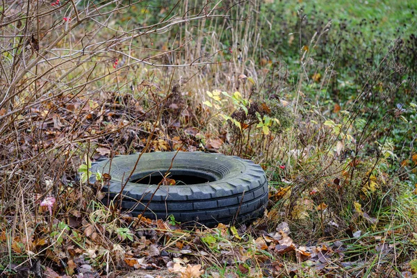 Pneu abandonado de carro grande no prado natural — Fotografia de Stock