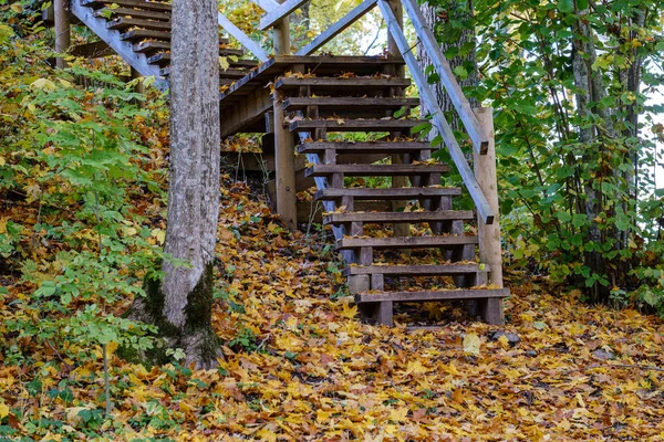 Escaleras de madera para vigilar la torre en el día de otoño de color húmedo en countr —  Fotos de Stock