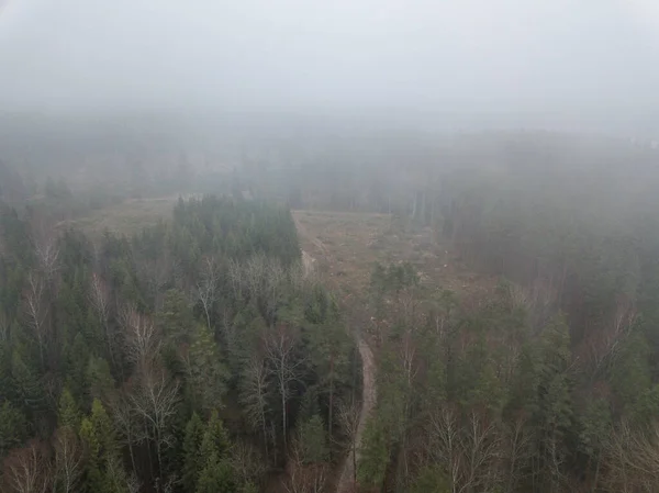 Ormanların ve göllerin üzerinde sis var. Yukarıdan gelen dron resmi — Stok fotoğraf