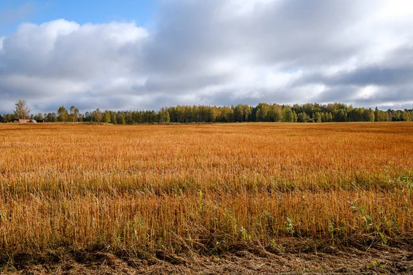 Pola wiejskie i łąki jesienią. widok panoramiczny — Zdjęcie stockowe