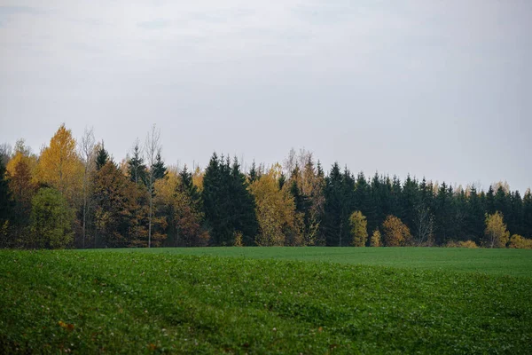 Champs et prairies en automne. vue panoramique — Photo