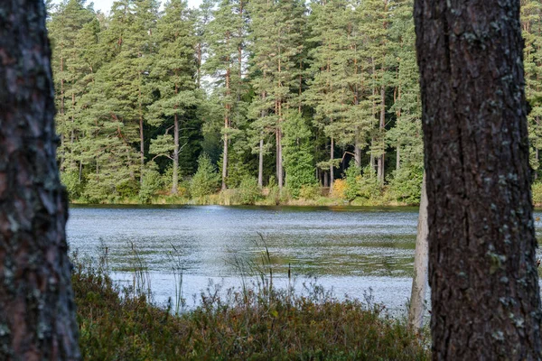 Small forest lake in countryside with water reflections — Stock Photo, Image