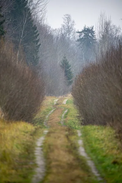 Strada sterrata vuota campagna in autunno — Foto Stock