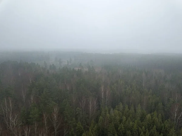 Dimma över skogar och sjöar på landsbygden. drönarbild från abov — Stockfoto