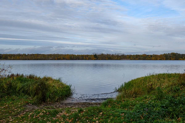 Liten skogssjö på landet med vattenreflektioner — Stockfoto