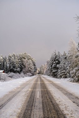 Güneşli bir günde, kar altında araba izleri ağaçlarda buzla kaplı.