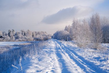 Güneşli bir günde, kar altında araba izleri ağaçlarda buzla kaplı.