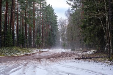Güneşli bir günde, kar altında araba izleri ağaçlarda buzla kaplı.