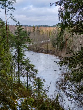 Sonbaharın sonlarında yaprakları olmayan, yarı donmuş bir nehir. Letonya 'daki Gauja nehri üzerindeki kısmi buz örtüsü