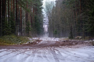 Güneşli bir günde, kar altında araba izleri ağaçlarda buzla kaplı.