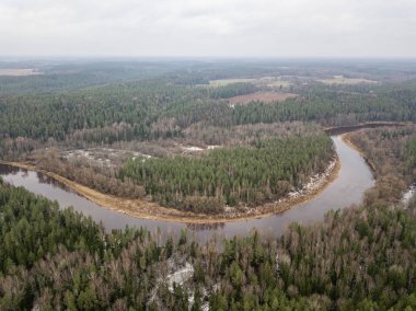 Kış ormanındaki nehirde yukarıdan yeşil ağaçlar var. Letonya 'daki Gauja nehrinin hava aracı görüntüsü.