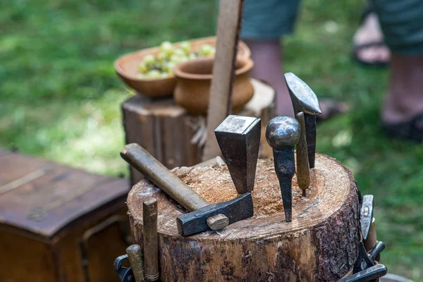 Utensili Lavorazione Del Legno Sul Tronco Legno Nel Parco — Foto Stock