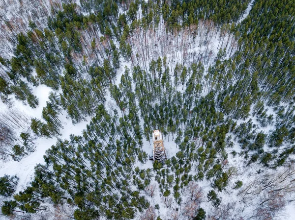 Winter Forest Drone Aerial Image Winter Trees Textured Woods — Stock Photo, Image