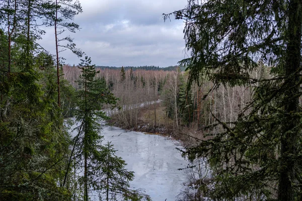 Halvfrusen Älv Senhösten Med Träd Utan Blad Delvis Istäcke Över — Stockfoto