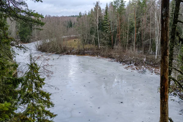 半条河结冰 没有叶子的树 拉脱维亚Gauja河部分冰盖 — 图库照片