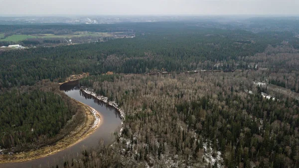 Rio Floresta Inverno Com Árvores Verdes Cima Imagem Aérea Drone — Fotografia de Stock