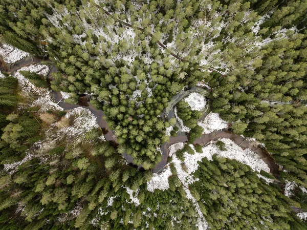 河在冬季的森林里 绿树成荫 拉脱维亚Gauja河的无人驾驶飞机图像 — 图库照片