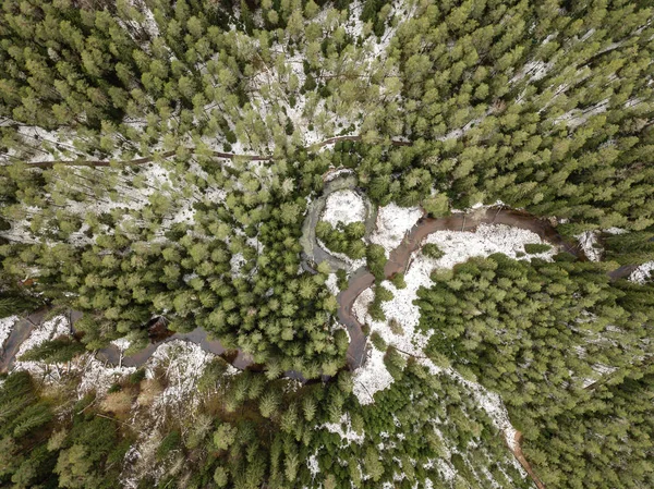 Fluss Winterwald Mit Grünen Bäumen Von Oben Luftbild Des Flusses — Stockfoto