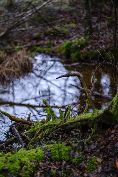 Halb Zugefrorener Fluss Spätherbst Mit Bäumen Ohne Blätter Teilweise Eisdecke — Stockfoto