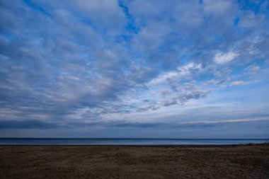 Sonbaharda boş deniz sahilleri, çalılar ve kuru otlar. su perspektifi