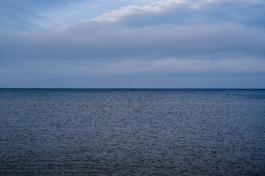 Sonbaharda boş deniz sahilleri, çalılar ve kuru otlar. su perspektifi